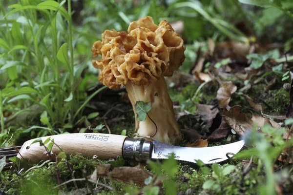 Opinel Taschenmesser N°08 Mushroom
